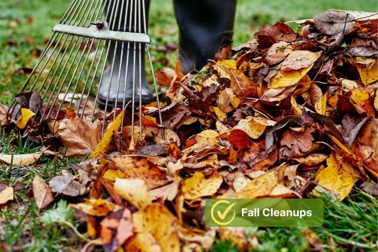 Fall Cleanups