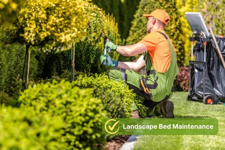 Landscape Bed Maintenance