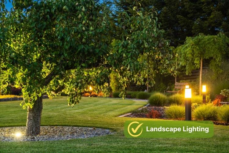 Landscape Lighting