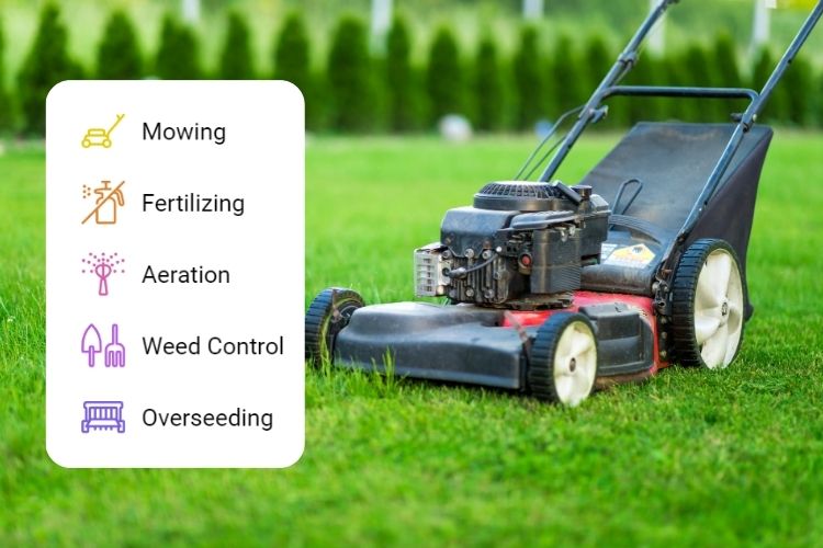 Lawn care services Philadelphia