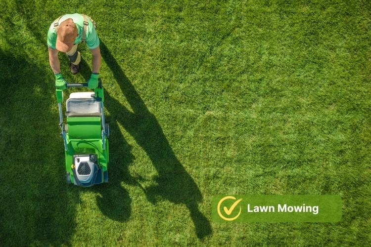 Lawn Mowing by a person