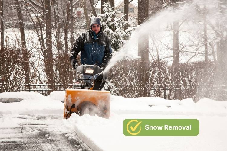 Snow Removal