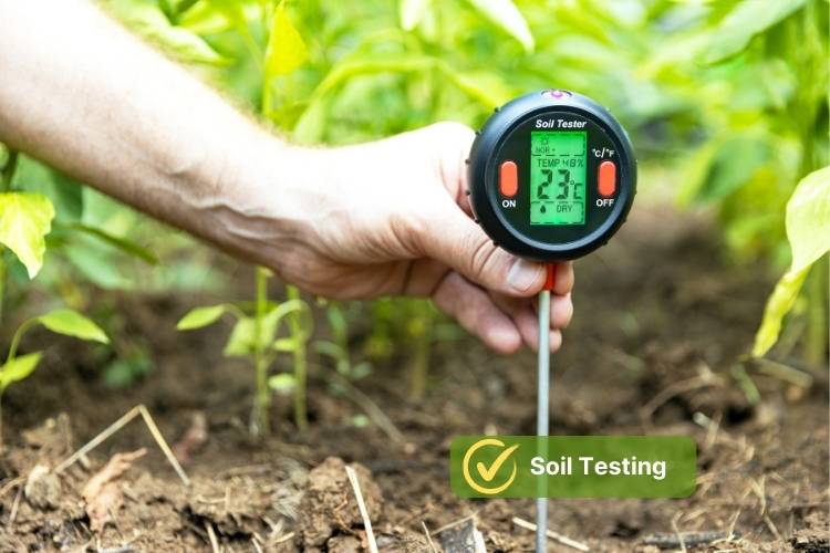 Soil Testing